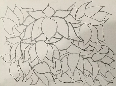 A pencil drawing of lotus flowers on paper
